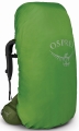 Plecak Trekingowy Osprey Aether 55 Garlic Mustard Green