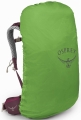 Plecak Turystyczny Osprey Sirrus 26  Elderberry Purple/Chiru Tan 