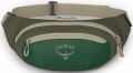 Nerka Turystyczna Osprey Daylite Waist Green Canopy/Green Creek