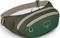 Nerka Turystyczna Osprey Daylite Waist Green Canopy/Green Creek