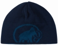 Czapka Mammut Logo Beanie Deep Ice/Marine