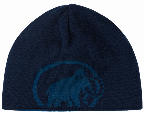 Czapka Mammut Logo Beanie Deep Ice/Marine