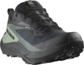Buty Salomon Genesis GTX Black/Agave Green/Urban Chic 475187