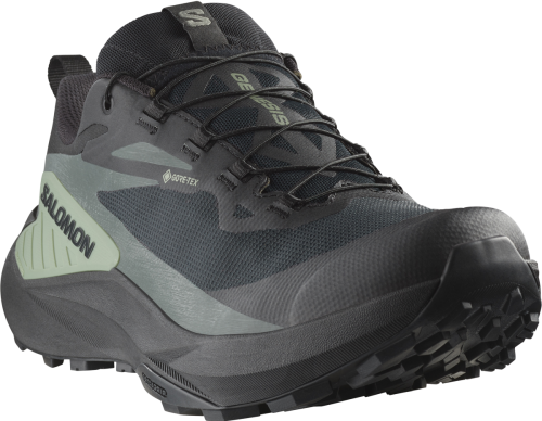 Buty Salomon Genesis GTX Black/Agave Green/Urban Chic 475187