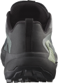Buty Salomon Genesis GTX Black/Agave Green/Urban Chic 475187