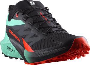 Buty Salomon Sense Ride 5 Black/Bay/Cherry Tomato 476982
