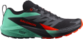 Buty Salomon Sense Ride 5 Black/Bay/Cherry Tomato 476982