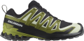 Buty Salomon XA Pro 3D V9 GTX Black/Lime Cream/Dark Citron 477419
