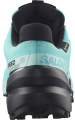 Buty Salomon Speedcross 6 GTX Gore-Tex W Blue Curacao/Black/Iced Aqua 477656