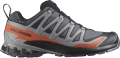 Buty Salomon XA Pro 3D V9 GTX Gore-Tex Turbulence/Black/Burnt Ochre 478175