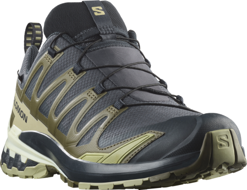 Buty Salomon XA Pro 3D V9 GTX Gore-Tex India Ink/Olive Night/Aloe Wash 478230