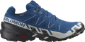 Buty Salomon Speedcross 6 GTX Gore-Tex Poseidon/Black Lunar Rock 477649