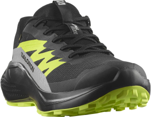Buty Salomon Alphaglide GTX Black/Alloy/Sh Green 478020