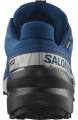 Buty Salomon Speedcross 6 GTX Gore-Tex Poseidon/Black Lunar Rock 477649