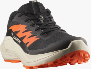 Buty Salomon Alphaglide Black/Rainy Day/Redora 478011