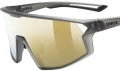 Okulary Uvex Skyryse Smoke Matt/Mirror Gold S3   