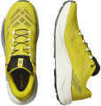 Buty Salomon PULSAR Incaberry/Vanilla Ice 479732