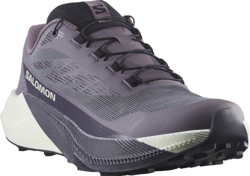 Buty Salomon PULSAR W Excalibur/Vanila Ice 479755