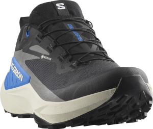 Buty Salomon Genesis GTX Black/Lunar Rock/Black/French Blue 478078