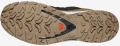 Buty Salomon XA Pro 3D V9 GTX Lifelong Black/Coyote Brown 479638 