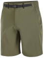 Spodenki Salomon Wayfarer 2.0 Shorts M Grape Leaf C27468