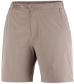Spodenki Salomon Wayfarer 2.0 Shorts W Iron C27499