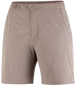 Spodenki Salomon Wayfarer 2.0 Shorts W Iron C27499