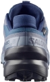 Buty Salomon Speedcross 6 GTX Gore-Tex Spellbound/Black/Tradewinds 479853