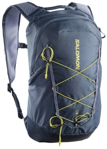 Plecak Salomon XT 15 Spellbound/Grisaille/Bright C28583