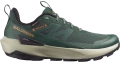 Buty Salomon Elixir Activ GTX Gore-Tex Scarab/Green Gables 492298