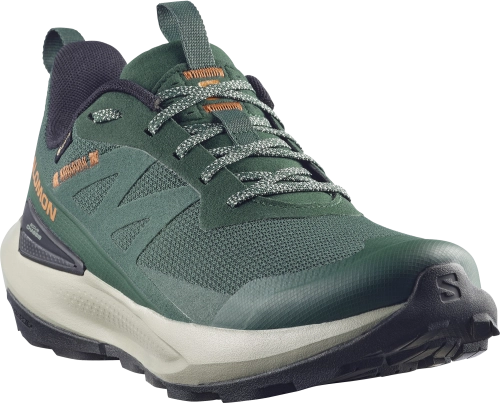 Buty Salomon Elixir Activ GTX Gore-Tex Scarab/Green Gables 492298