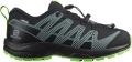 Buty Salomon XA Pro V8 CSWP J Junior Black/ Black/ Green Gecko