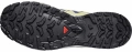 Buty Salomon XA Pro 3D V9 Bluing/Bog/Acid Lime 491455