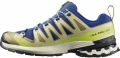 Buty Salomon XA Pro 3D V9 Bluing/Bog/Acid Lime 491455