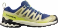 Buty Salomon XA Pro 3D V9 Bluing/Bog/Acid Lime 491455