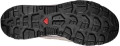 Buty Salomon Techamphibian 5 Clrock/Willow/Black 492277