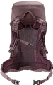 Plecak Deuter Futura 24 SL Cassic-Ashrose