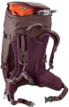 Plecak Deuter Futura 24 SL Cassic-Ashrose