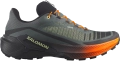 Buty Salomon Genesis 2 Urban Chic/Black/Lime Cream 493091