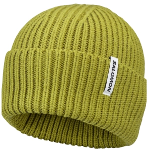 Czapka Salomon Snowbird Beanie U Cardamon Seed C29385