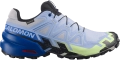 Buty Salomon Speedcross 6 GTX Icon Brunnera Blue/Surf The Web/Black445868