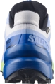 Buty Salomon Speedcross 6 GTX Icon Brunnera Blue/Surf The Web/Black445868