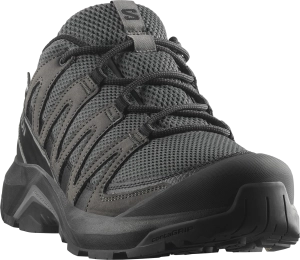 Buty Salomon X-Adventure Recon GTX Asphalt/Castlerock/Black 478092