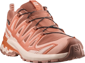 Buty Salomon XA Pro 3D V9 GTX W Pecan Brown/Nectarine/Almond Cream 479878