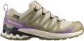 Buty Salomon XA Pro 3D V9 GTX W Bog/Aloe/Concord Grape 491458