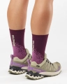 Buty Salomon XA Pro 3D V9 GTX W Bog/Aloe/Concord Grape 491458
