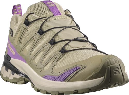 Buty Salomon XA Pro 3D V9 GTX W Bog/Aloe/Concord Grape 491458