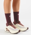 Buty Salomon Genesis 2 W Vanilla Ice/Huckleberry 493096