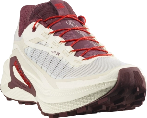 Buty Salomon Genesis 2 W Vanilla Ice/Huckleberry 493096