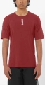 Koszulka Salomon Ultra All Day-All Mountain Tee M Merino Syrah C27897